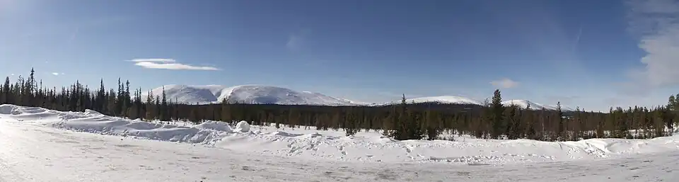 Pallas from NE spring 2017.