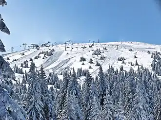 View on Pančić's Peak during winter