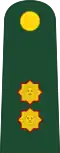 Brigade General