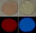 Calcium sulfide (left) and metal-earth silicate (right) phosphoresce in red and blue respectively.