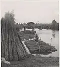 Hemp sheaves being stacked into rafts for the maceration process in Indre-et-Loire in 1959.