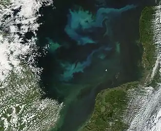 The Moderate Resolution Imaging Spectroradiometer (MODIS) flying aboard NASA s Terra satellite flew over the North Sea on June 6, 2015 and captured this beautiful true-color image of a spring phytoplankton bloom in progress.
