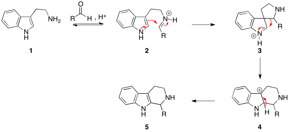 The mechanism of the Pictet–Spengler reaction