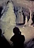 Stalagmite Pillar.