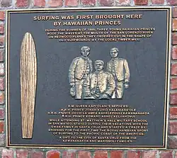 surfboard and three Hawaiians