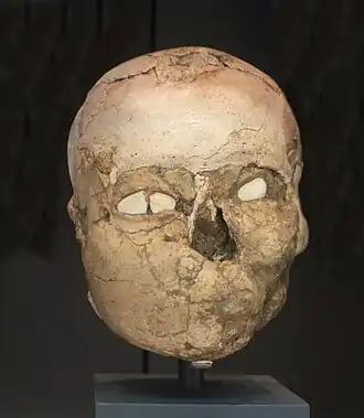 Overmodelled skull from Jericho. British Museum.​​‌