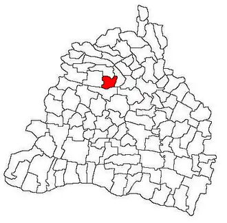 Location in Dolj County