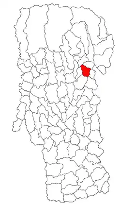 Location in Argeș County