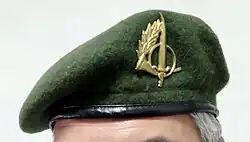 Army Special Operations Troops (Rangers) moss/dry green beret