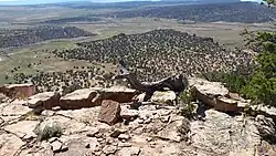 Rocky cliff in foreground with piñon branches looking down onto piñon/juniper woodland and grassy openings 300 feet below. Dirt roads, arroyos, and railway lines cross the land in the distance.