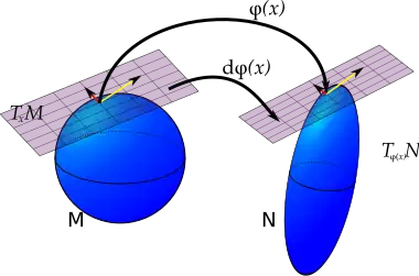 "If a map, φ, carries every point on manifold M to manifold N then the pushforward of φ carries vectors in the tangent space at every point in M to a tangent space at every point in N."
