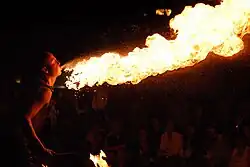 Profile photo of the performer spitting fire at night in front of a crowd