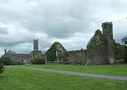 The ruins of the former parish church, with Quin Abbey beyond