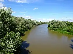 Târnava River in Mihalț