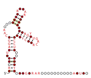 Flavi_NKV_xrRNA Secondary structure taken from the Rfam database. Family RF03539