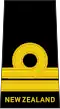Lieutenant