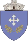 Coat of arms of Cotmeana