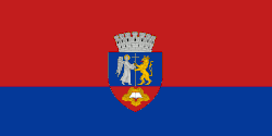 Flag of Oradea