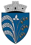 Coat of arms of Malnaș