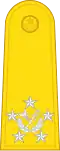 Marshal of the Royal Thai Air Force