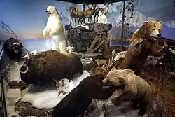 Richard Childress Wildlife and Conservation Gallery