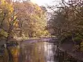 River Goyt in Woodbank Park