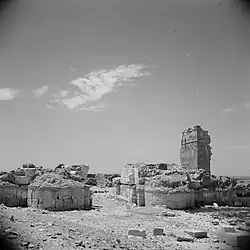 Qasr al-Hayr al-Gharbi, Syria (1950)