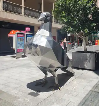 A 2 metre tall silver stainless steel pigeon sculpture, shining in the afternoon Australian sun. Standing upon grey tiles with a tag around its ankle and standing up.
