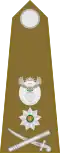 Brigadier general (South African Army)[49]