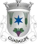 Coat of arms of Guadalupe