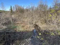 Ruisseau Bras Fanfan from P-06222 bridge, rang Saint-Paul[3]' [10]