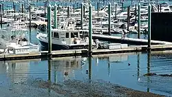 Boats moored in the harbor, 2018