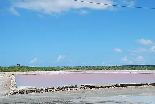 Salt flats in Cabo Rojo