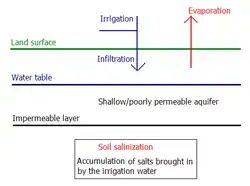 Soil salinization in irrigated flat land without an aquifer