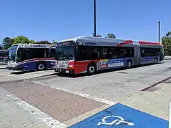 Gillig BRT (background) with "curvy patriot" livery and New Flyer Xcelsior XD60 with "silver" livery