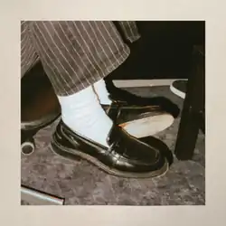 The image depicts two legs with beige trousers, white socks and formal old-fashioned shoes. The picture has a beige framed around it.