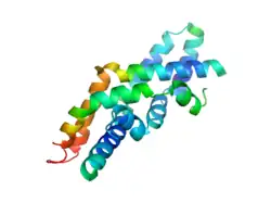 Saposin C dimer in an open conformation (PDB: 2QYP).