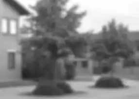 Scale-space representation '"`UNIQ--postMath-00000021-QINU`"' at scale '"`UNIQ--postMath-00000022-QINU`"'