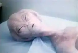 Grey alien film prop