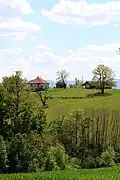 Zabrdica village - panorama