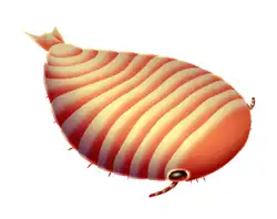 Life restoration of Sidneyia (Vicissicaudata)