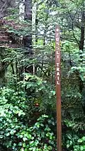 Sign for Fossli Trail rises above a salal bush