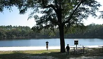 Silver Lake Recreation Area, a part of the Apalachicola National Forest, about 8 miles (13&nbsp;km) from Tallahassee, Florida, in 2007