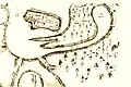 Rodrigo de Figueroa, 1519 - note the abandoned settlement of Caparra (lower left), and the city of San Juan Bautista de Puerto Rico, today Old San Juan (upper left)