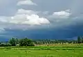 View of the Somerset Levels from the River Parrett Trail