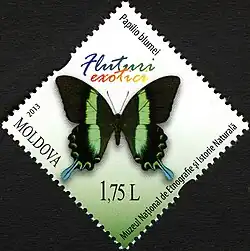 Stamps of Moldova 2013