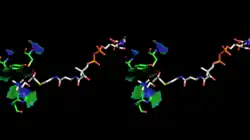 Stereoscopic depiction of choline and acetyl-CoA bound in ChAT active site - alternate angle. (PDB: 2FY3​, PDB: 2FY5​ - overlaid).