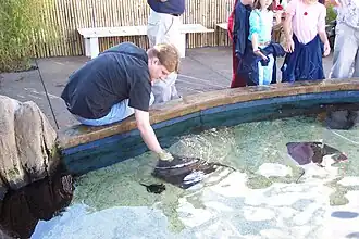 One of the touch pools.