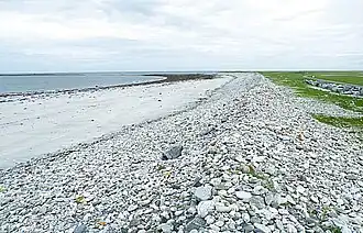 The whole length of the beach here is backed by a berm of stones, some of considerable size, which have presumably been piled up by winter storms.