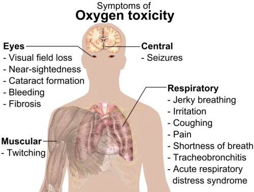 A diagram showing a male torso and listing symptoms of oxygen toxicity: Eyes – visual field loss, nearsightedness, cataract formation, bleeding, fibrosis; Head – seizures; Muscles – twitching; Respiratory system – jerky breathing, irritation, coughing, pain, shortness of breath, tracheobronchitis, acute respiratory distress syndrome.
